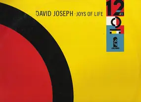 david Joseph - Joys Of Life