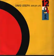 David Joseph - Joys Of Life