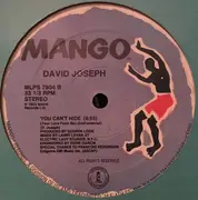 12inch Vinyl Single - David Joseph - You Can't Hide (Your Love From Me)
