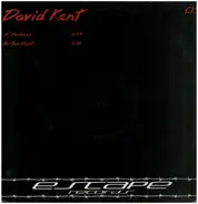 David Kent - Madness / One Night