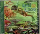 CD - David Kilgour - Frozen Orange