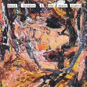 David Kilgour - David Kilgour & the Heavy Eights