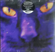 David Kilgour & The Heavy Eights - Bobbie's A Girl