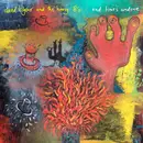 LP - David Kilgour & The Heavy Eights - End Times Undone
