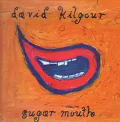 David Kilgour