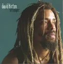 CD - David Kirton - Stranger