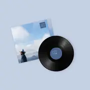 LP - David Kitt - Idiot Check