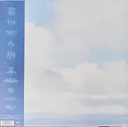 LP - David Kitt - Idiot Check