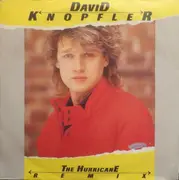 7inch Vinyl Single - David Knopfler - The Hurricane (Remix)