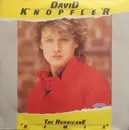 7inch Vinyl Single - David Knopfler - The Hurricane (Remix)