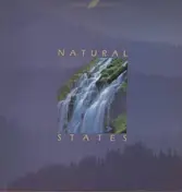 David Lanz & Paul Speer - Natural States