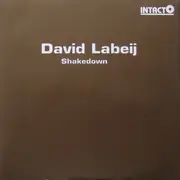 12inch Vinyl Single - David Labeij - Shakedown