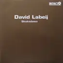 12inch Vinyl Single - David Labeij - Shakedown