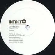 12inch Vinyl Single - David Labeij - Shakedown