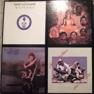 David LaFlamme , Bat McGrath , Ozo , Johnny Guitar Watson - No Title