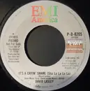 7inch Vinyl Single - David Lasley - It's A Cryin' Shame (Sha La La La La) / Euripides Meets The Shangri-Las