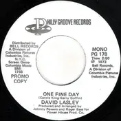 David Lasley - One Fine Day