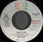 David Lasley - Saved By Love