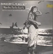 David Lasley - Where Does That Boy Hang Out