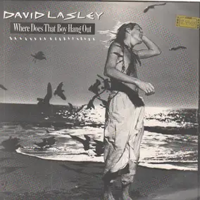 David Lasley - Where Does That Boy Hang Out