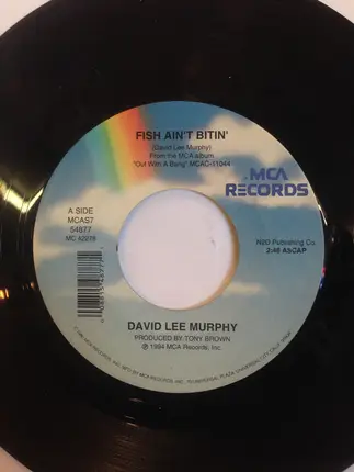 David Lee Murphy - Fish Ain't Bitin'
