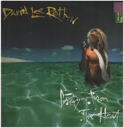 David Lee Roth - crazy from the heat