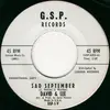 7inch Vinyl Single - David & Lee - Sad September