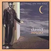 CD - David Levin - Stepping On My Hat