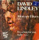 12inch Vinyl Single - David Lindley - Mercury Blues (Live)