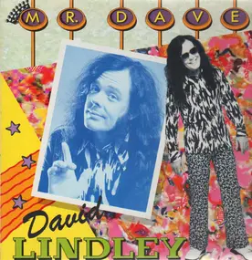 David Lindley - Mr. Dave