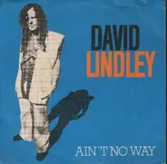 David Lindley - Ain't No Way