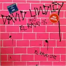 LP - David Lindley And El Rayo-X - El Rayo Live