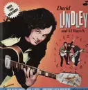 LP - David Lindley - Win This Record
