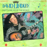 7inch Vinyl Single - David Lindley - Pretty Girl Rules The World