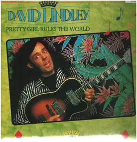 David Lindley - Pretty Girl Rules The World