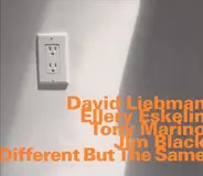 David Liebman , Ellery Eskelin , Tony Marino , Jim Black - Different But the Same