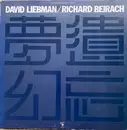 LP - David Liebman / Richard Beirach - Forgotten Fantasies
