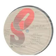 LP - David Liebman - What It Is - Includes OBI & insert