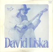 David Liska - Startin All Over Again