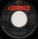 7inch Vinyl Single - David Lynn Jones - High Ridin' Heroes / Living In The Promiseland