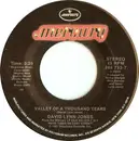 7inch Vinyl Single - David Lynn Jones - Bonnie Jean (Little Sister)