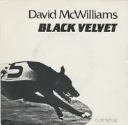 David McWilliams - Black Velvet