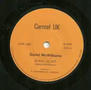 7inch Vinyl Single - David McWilliams - Black Velvet