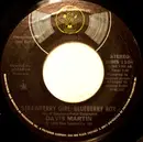 7inch Vinyl Single - David Martin - Strawberry Girl, Blueberry Boy