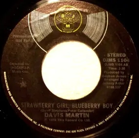 David Martin - Strawberry Girl, Blueberry Boy