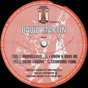 David Martin - Marvellous