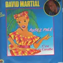 12inch Vinyl Single - David Martial - Assé Palé / C'est La Caraïbe