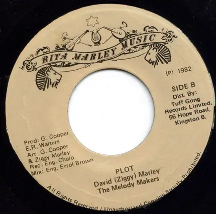 David Marley / The Melody Makers - What A Plot