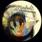 David Mayer - Sunhole
