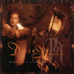 David Meece - Once in a Lifetime